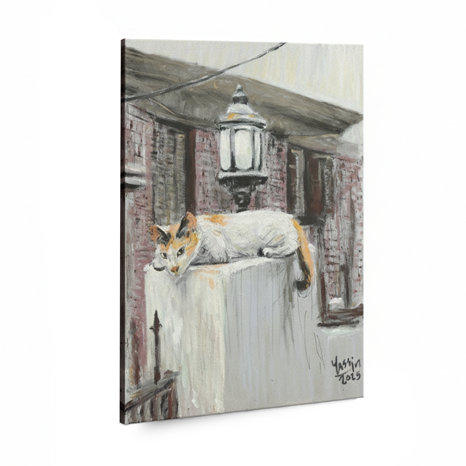 The Curious Cat Printed Wood 40x50 cm