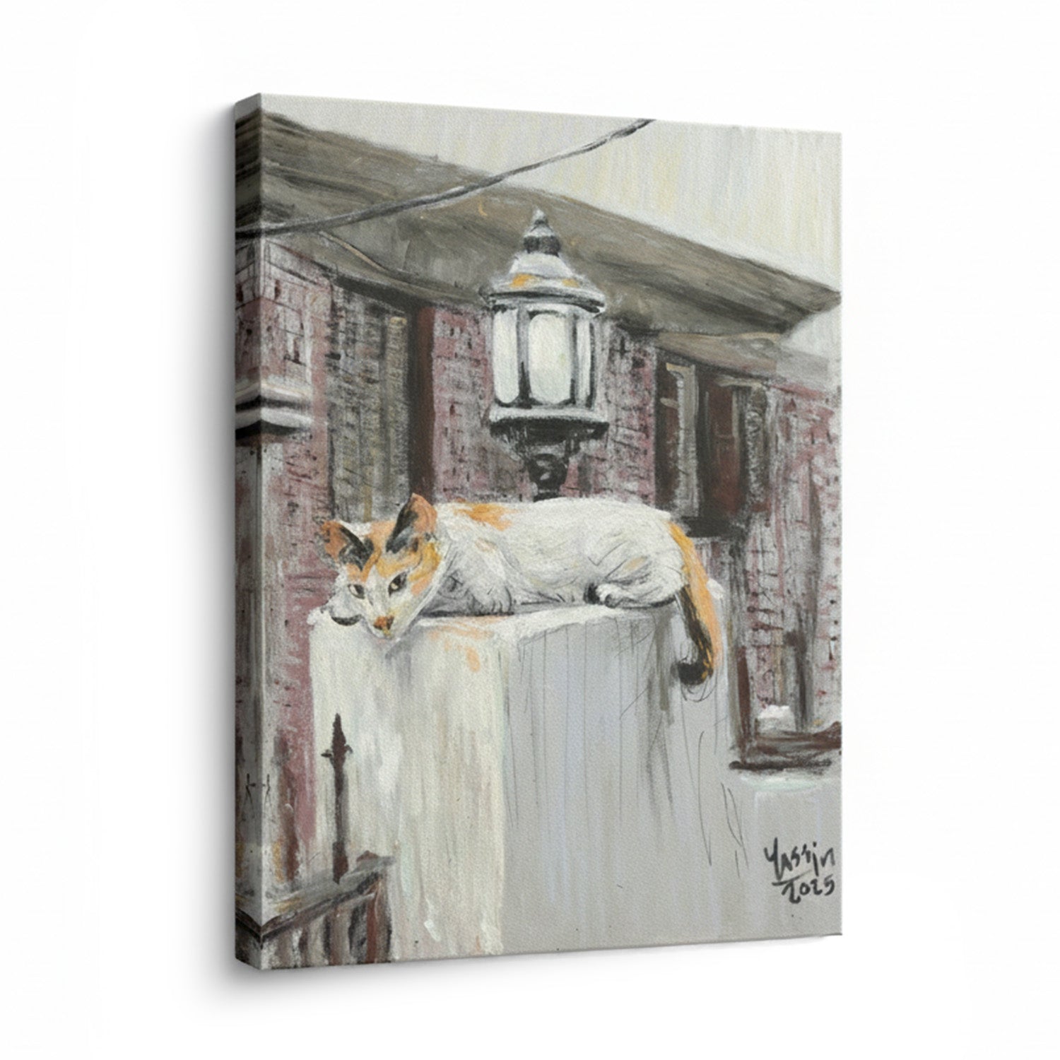 The Curious Cat Printed Canvas 73x90 cm